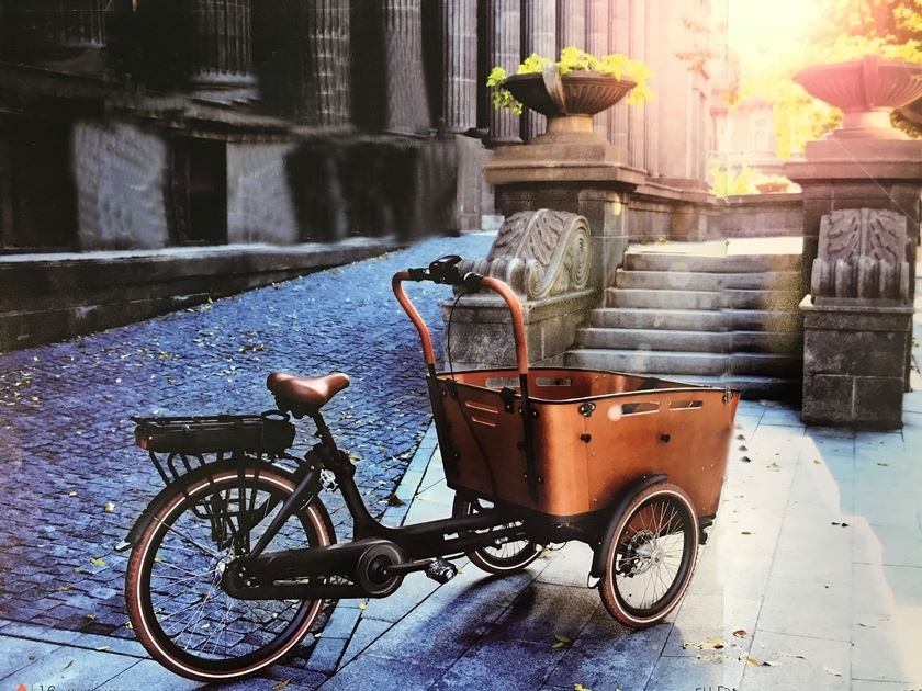 Vogue Carry 3 E-Bakfiets